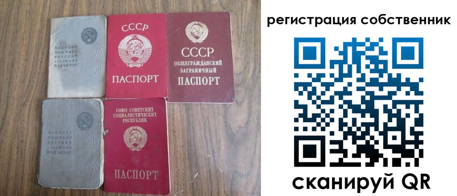 прописка ребенка в Бородино